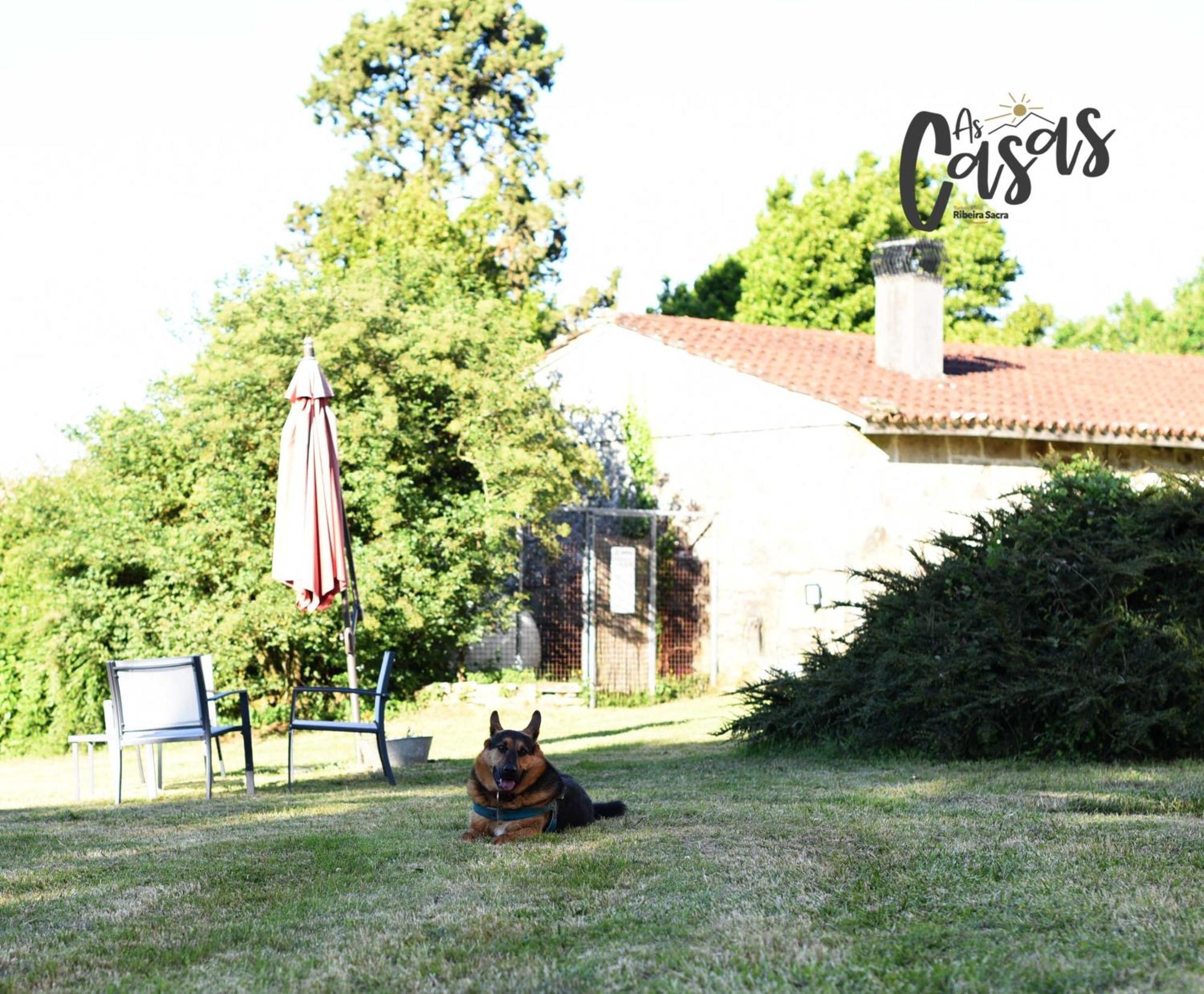 As Casas Ribeira Sacra Hotel Chantada Kültér fotó